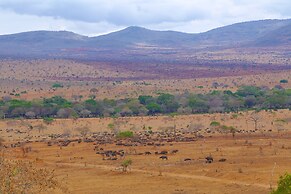 Salt Lick Safari Lodge