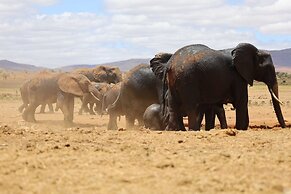 Salt Lick Safari Lodge