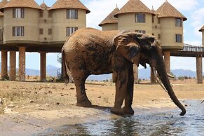 Salt Lick Safari Lodge