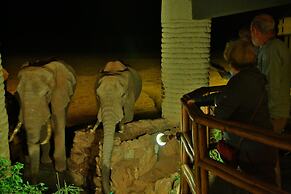 Salt Lick Safari Lodge