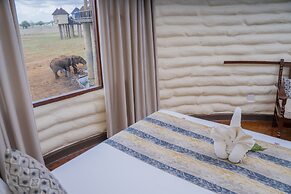 Salt Lick Safari Lodge