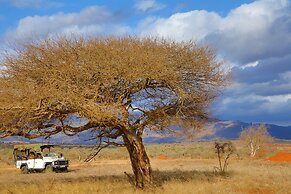 Salt Lick Safari Lodge