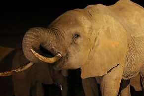 Salt Lick Safari Lodge