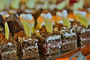 Salt Lick Safari Lodge