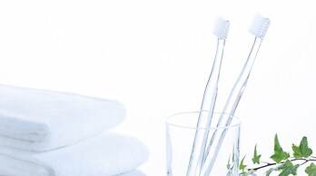 Comfort Hotel Tsubamesanjo