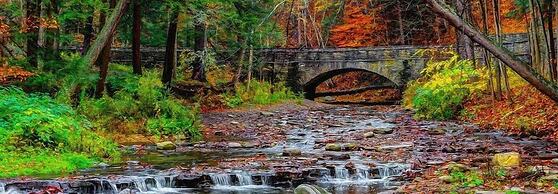 Allegiance Bed and Breakfast