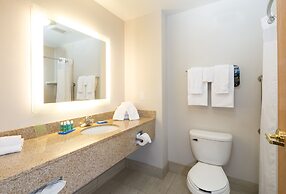 Holiday Inn Express Hotel & Suites Detroit - Utica by IHG