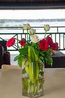 The Paradise by Tunga