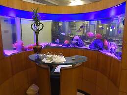 The International by Tunga