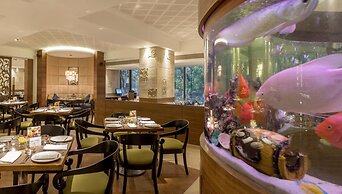 The International by Tunga