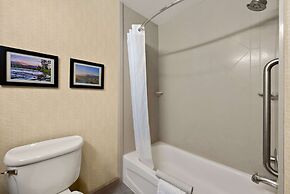 Comfort Inn & Suites Airport