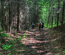 Holiday Inn Express Hotel & Suites Drayton Valley by IHG