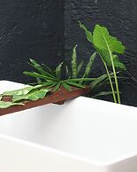 Amorita Resort Bohol