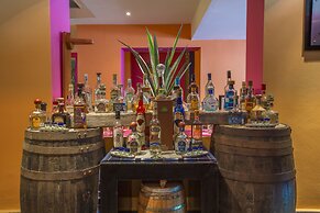 Grand Oasis Palm - All Inclusive