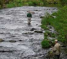 Hotel Ochsenwirtshof