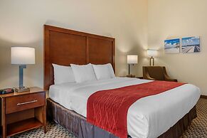 Comfort Inn & Suites Airport