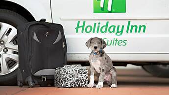 Holiday Inn Bloomington-Airport by IHG