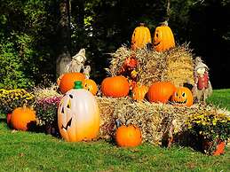 Willows Motel Williamstown