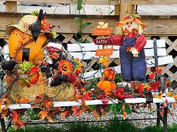 Willows Motel Williamstown