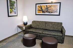 Holiday Inn Hotel & Suites Stockbridge / Atlanta I-75 by IHG