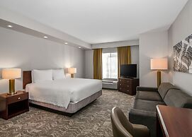 Springhill Suites Phoenix Glendale Sports & Entertainment District