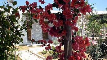 Surfing Beach Village