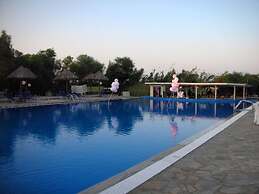 Surfing Beach Village