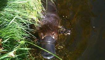 The Woodbridge Waterfront Rooms.