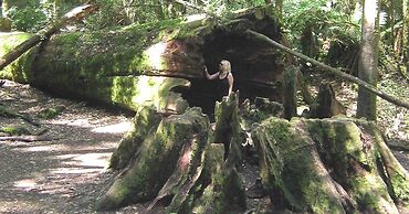 The Woodbridge Waterfront Rooms.