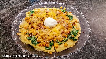 Los Gatos Bed & Breakfast