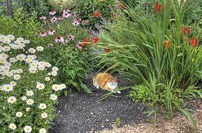 Los Gatos Bed & Breakfast