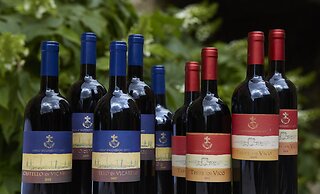 Castello Di Vicarello