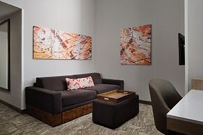 SpringHill Suites Minneapolis-St Paul Airpt/Mall of America