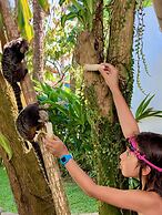 Pousada Coqueiro Verde