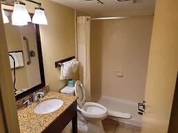 Quality Inn Flamingo