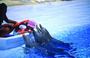 Benalma Hotel Costa del Sol