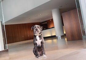 InterContinental San Francisco by IHG