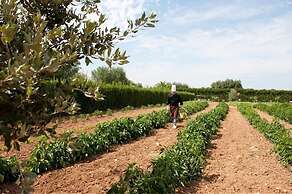 Tenuta Moreno