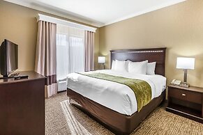 Comfort Suites Houston IAH Airport - Beltway 8