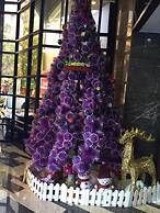 Insail Hotels (Guangyuanxincun Jingtai Pedestrian Street Guangzhou)