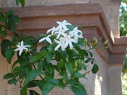 Argentikon Luxury Suites