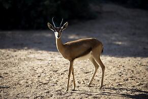 Al Maha, A Luxury Collection Desert Resort & Spa, Dubai