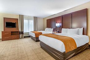Comfort Suites South
