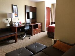 Comfort Suites South