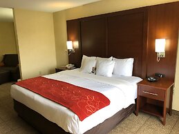 Comfort Suites South