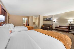 Comfort Suites South