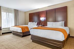 Comfort Suites South
