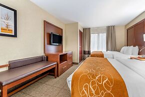 Comfort Suites South