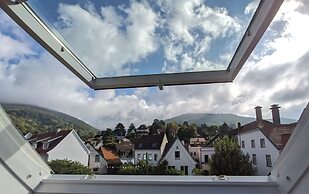 DK Hotel Heidelberg