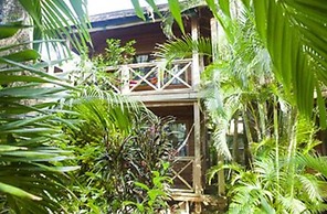 Las Rocas Resort And Dive Center